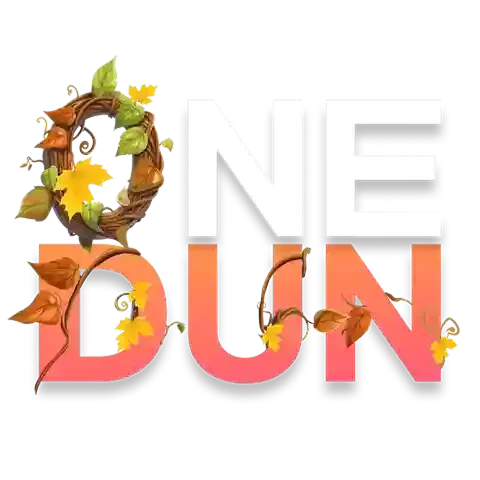 OneDun Review