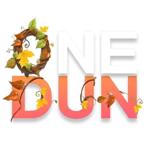 OneDun logo